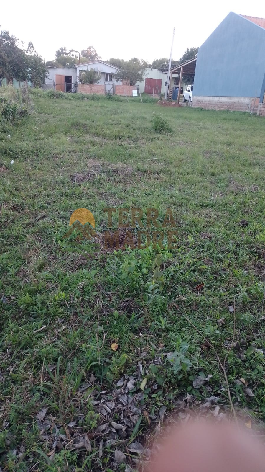 WhatsApp Image 2026-05-21 at 15.43.21 (2)