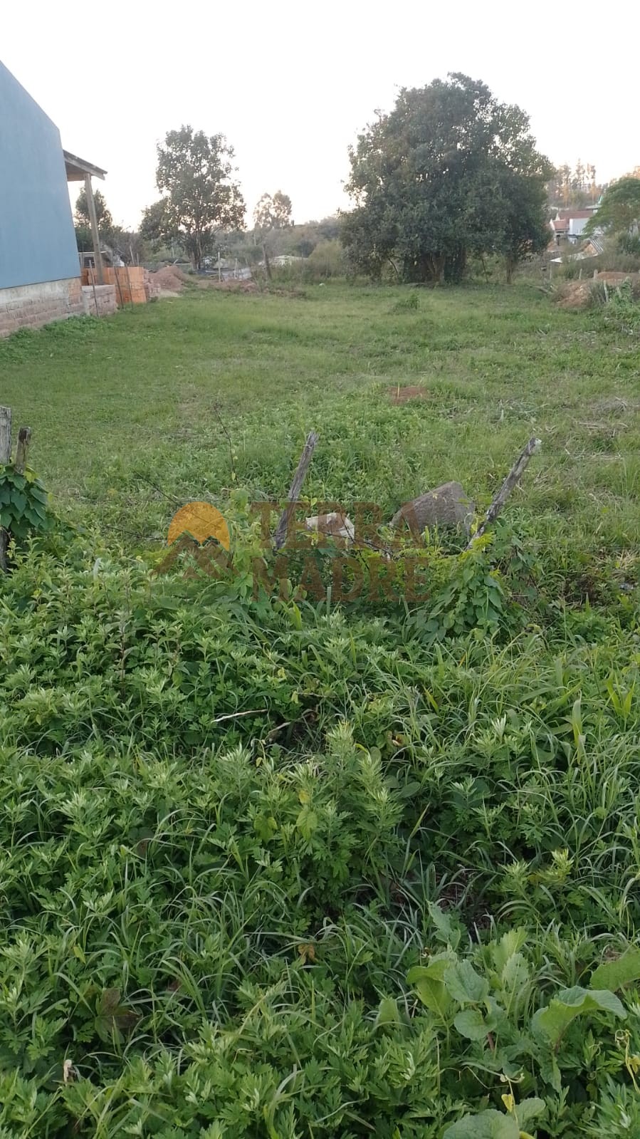 WhatsApp Image 2026-05-21 at 15.43.21